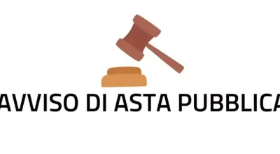 Immagine asta Immagine asta
